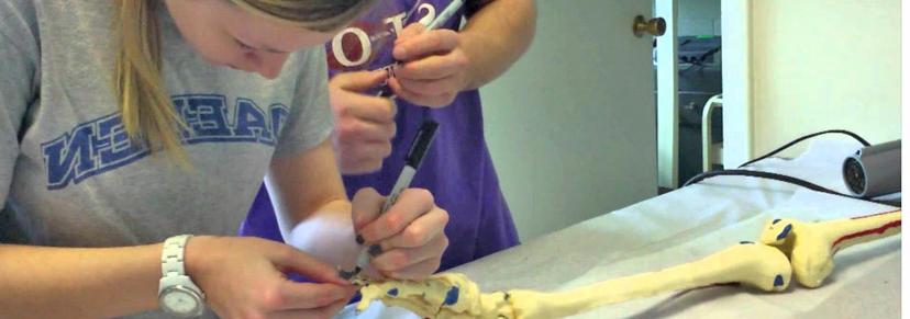 Two students in the Daemen College Physical Therapy Program